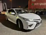 Toyota Camry, 2019-3