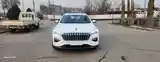 Hongqi E-HS3, 2019-2