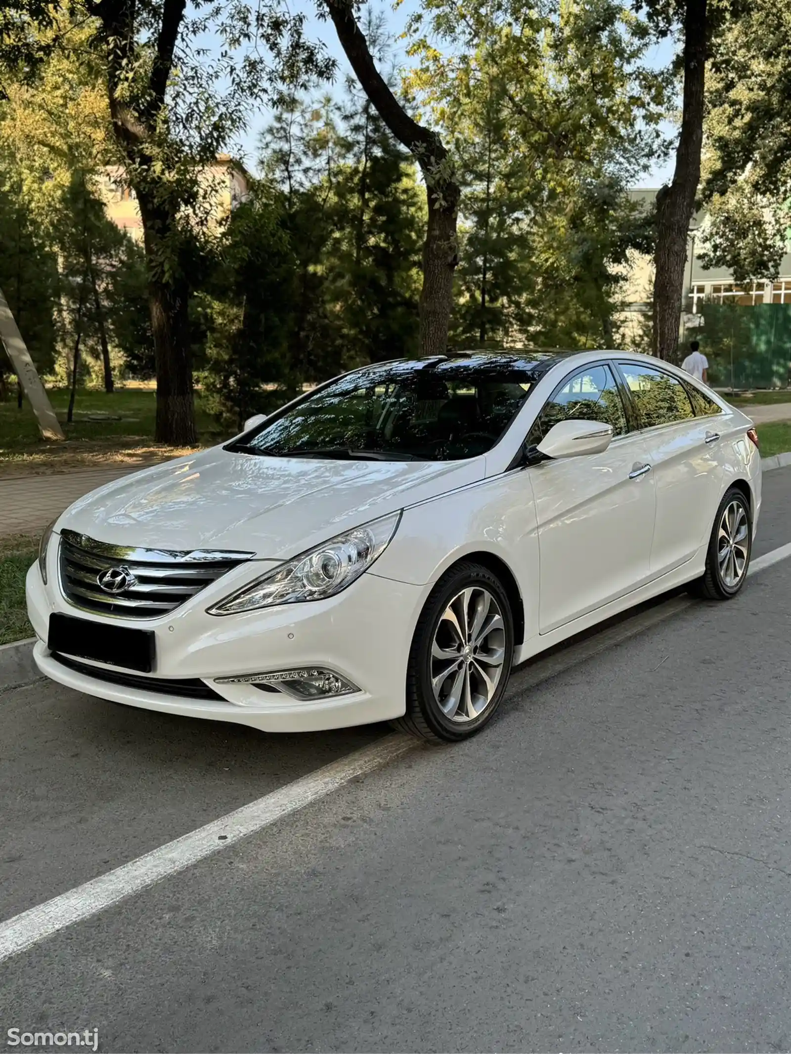 Hyundai Sonata, 2013-1