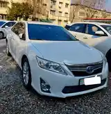 Toyota Camry, 2014-2