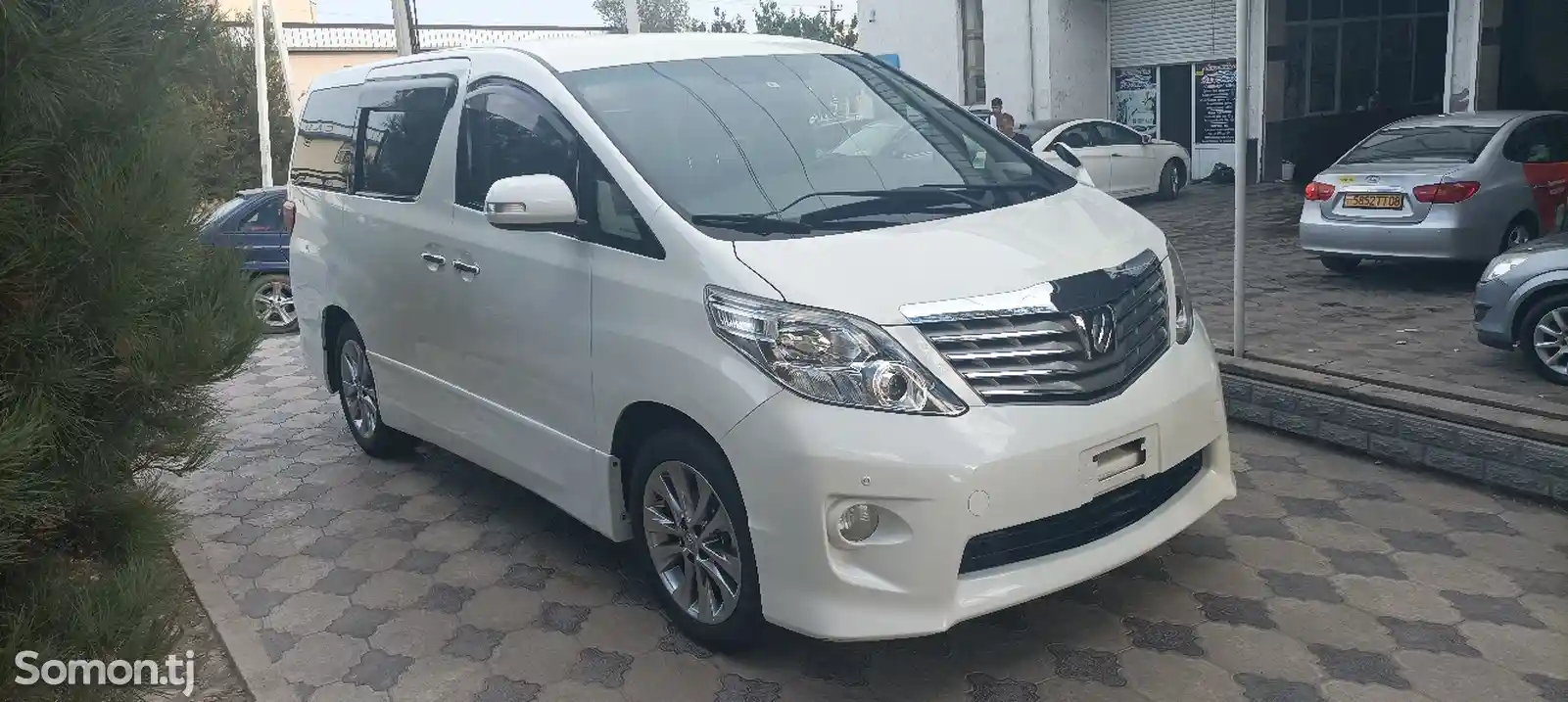 Toyota Alphard, 2010-4