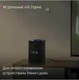 Умная колонка Яндекс Станция Алиса Макс 3 gen Zigbee-14