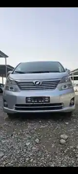 Toyota Vellfire, 2008-14