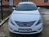 Hyundai Sonata, 2010-5