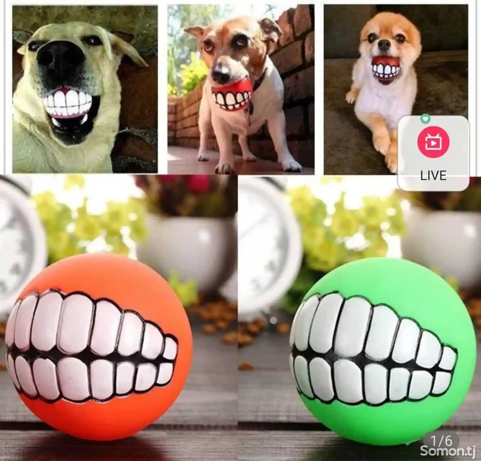 Мячики для собак-1