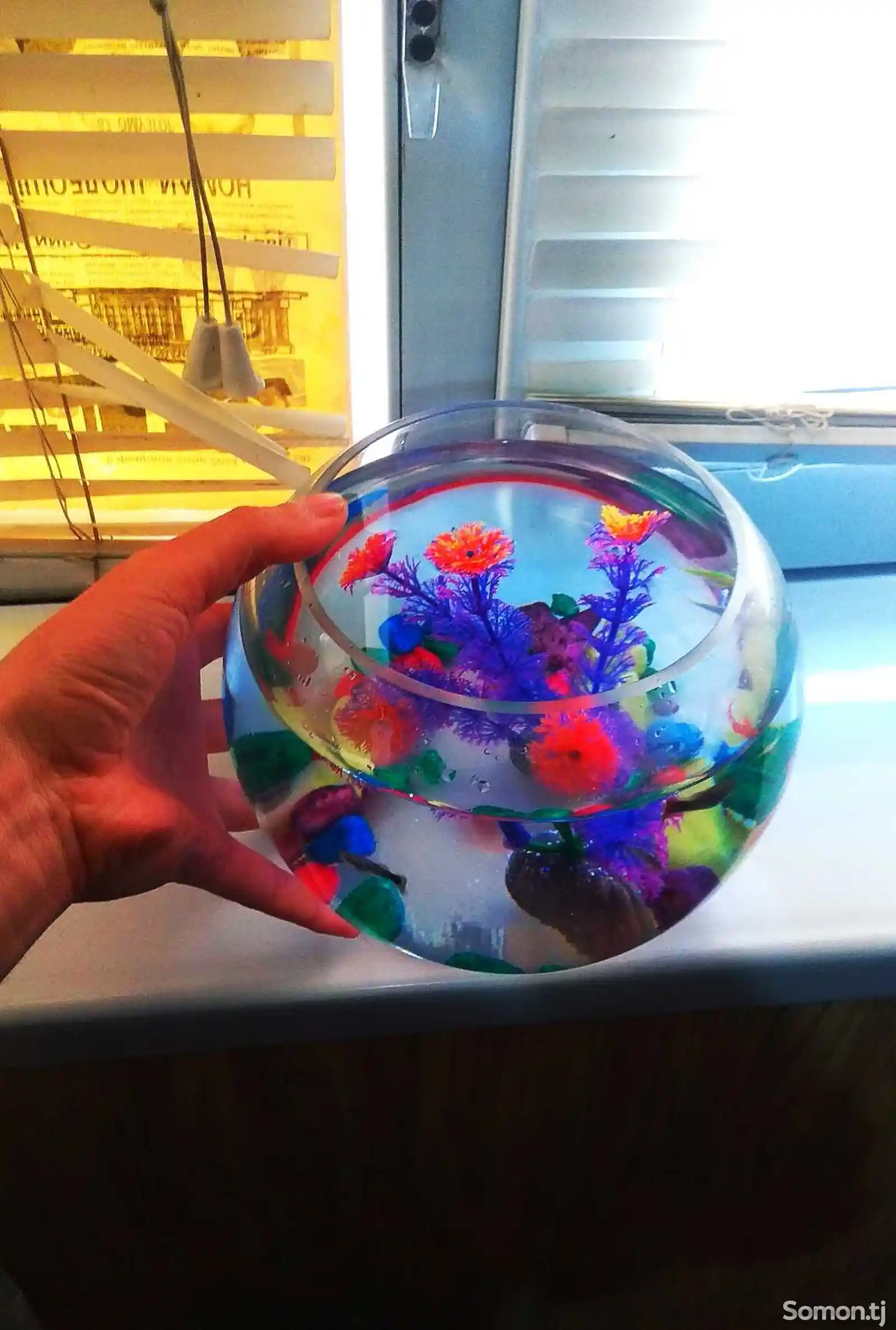 Круглый мини-аквариум 2л с рыбками
