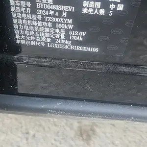 BYD Song Plus Flagship, 2024