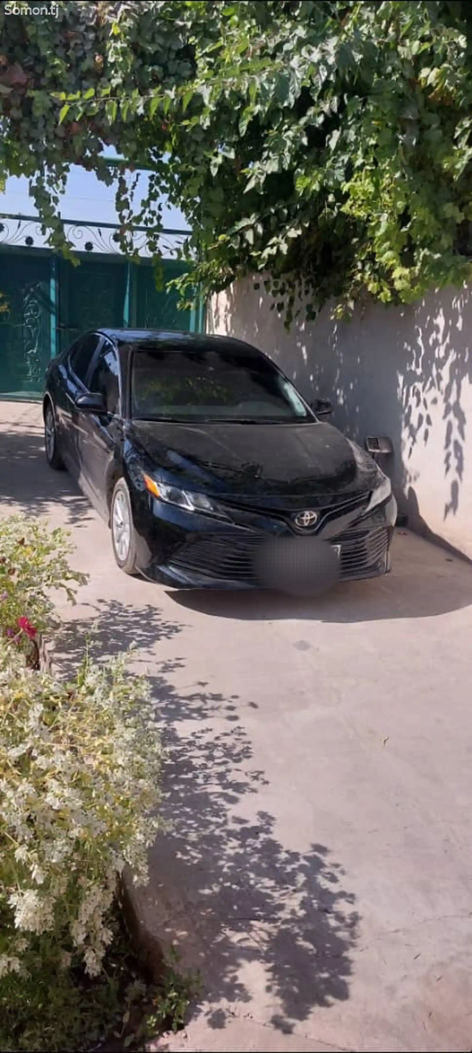 Toyota Camry, 2019-4