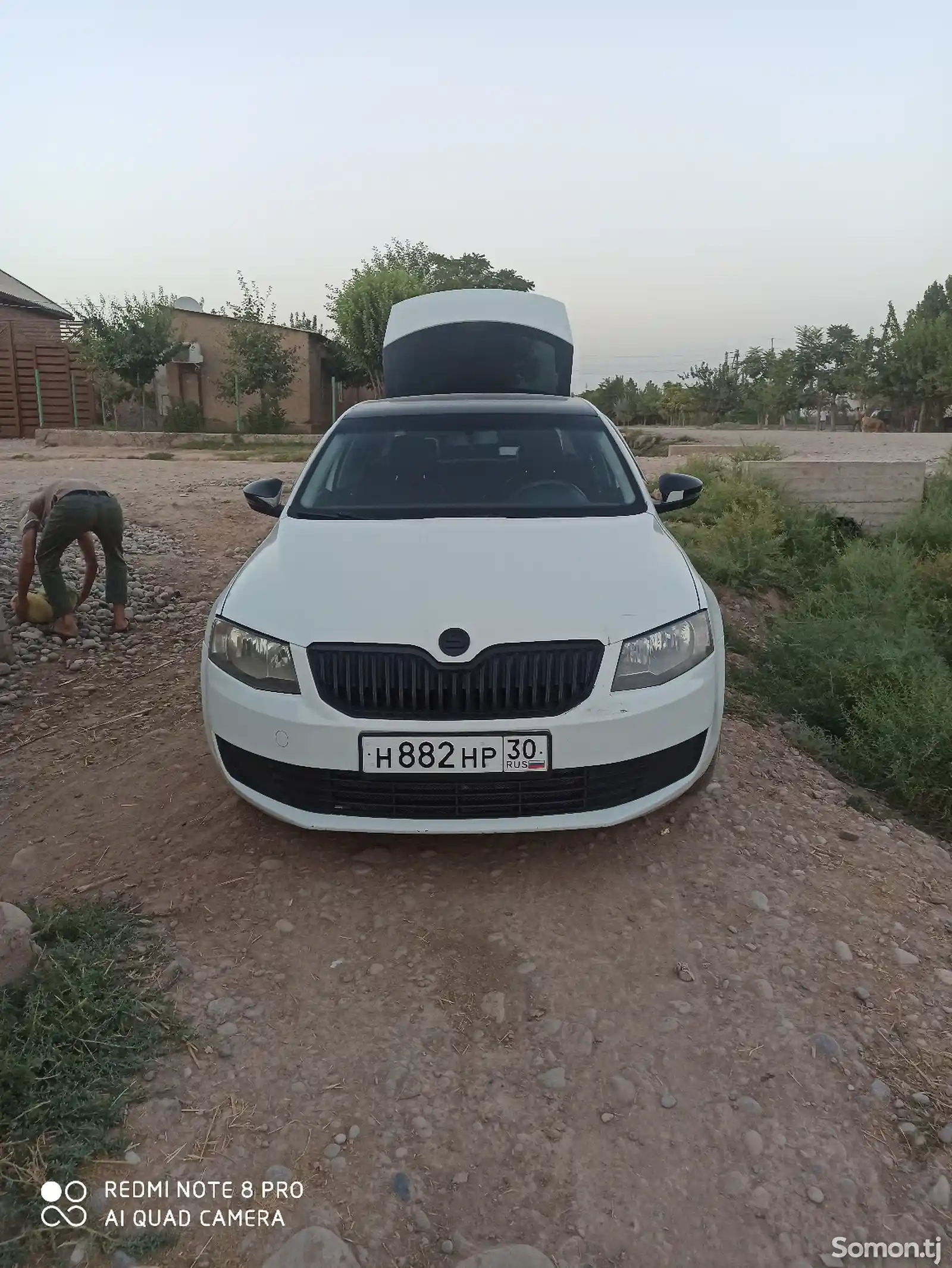 Skoda Octavia, 2016-1