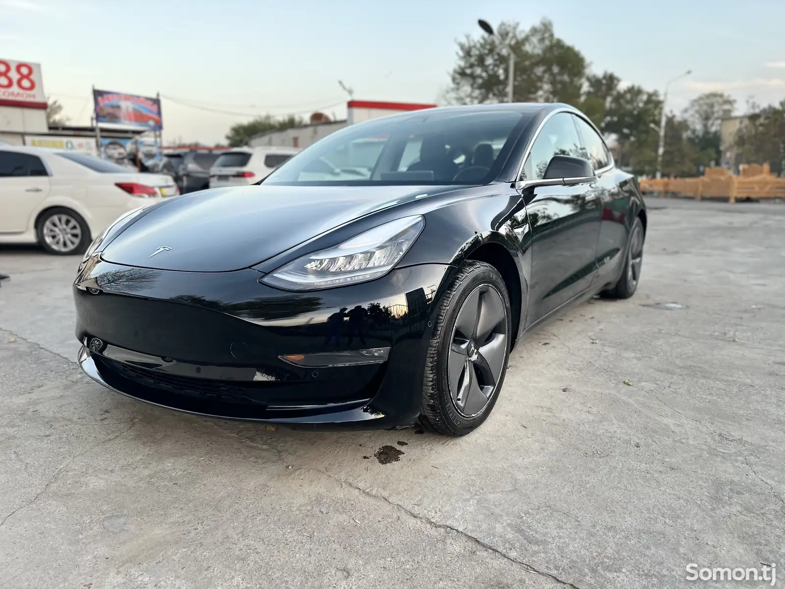 Tesla Model 3, 2019-1