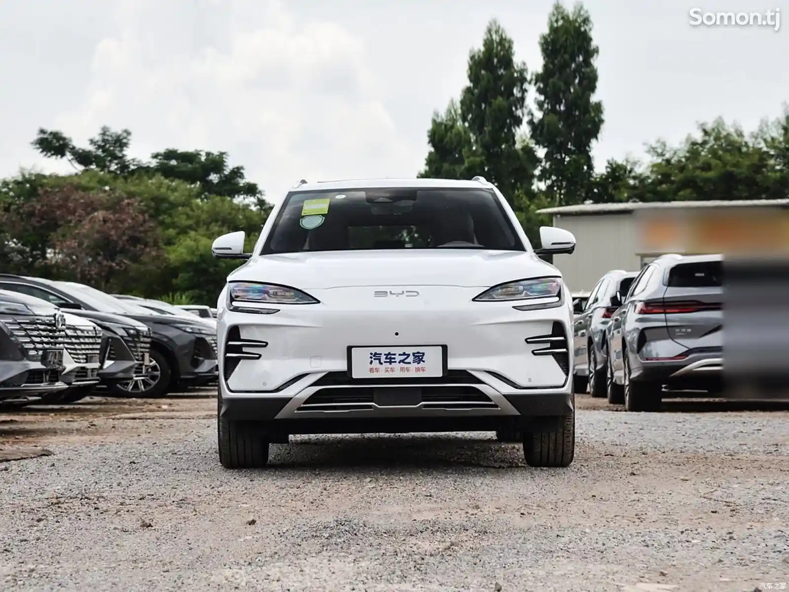 BYD Song Plus Flagship, 2024-3