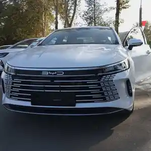 BYD Song Plus, 2024