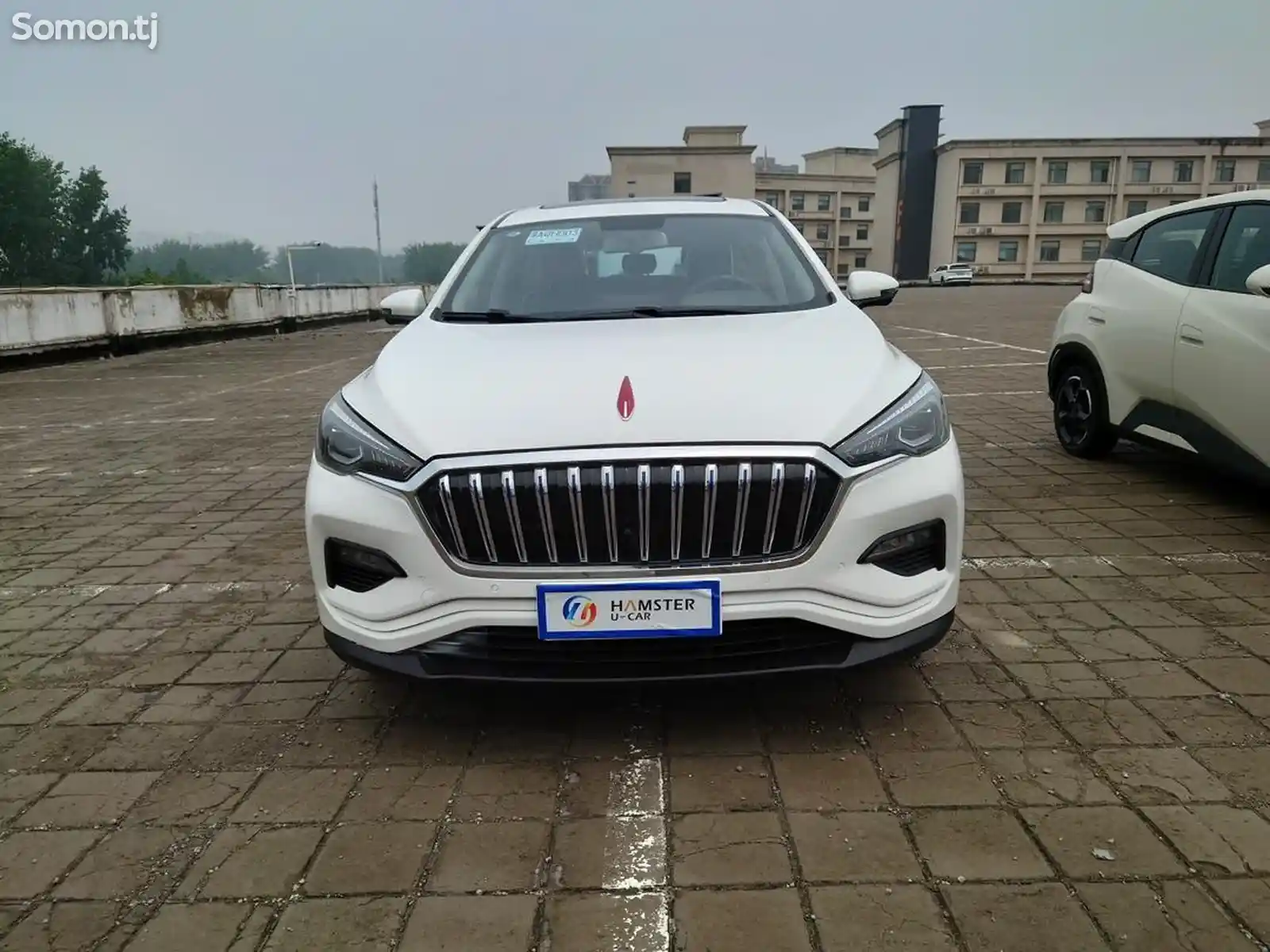 Hongqi E-HS3, 2019-1