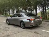 Lexus ES series, 2020-6