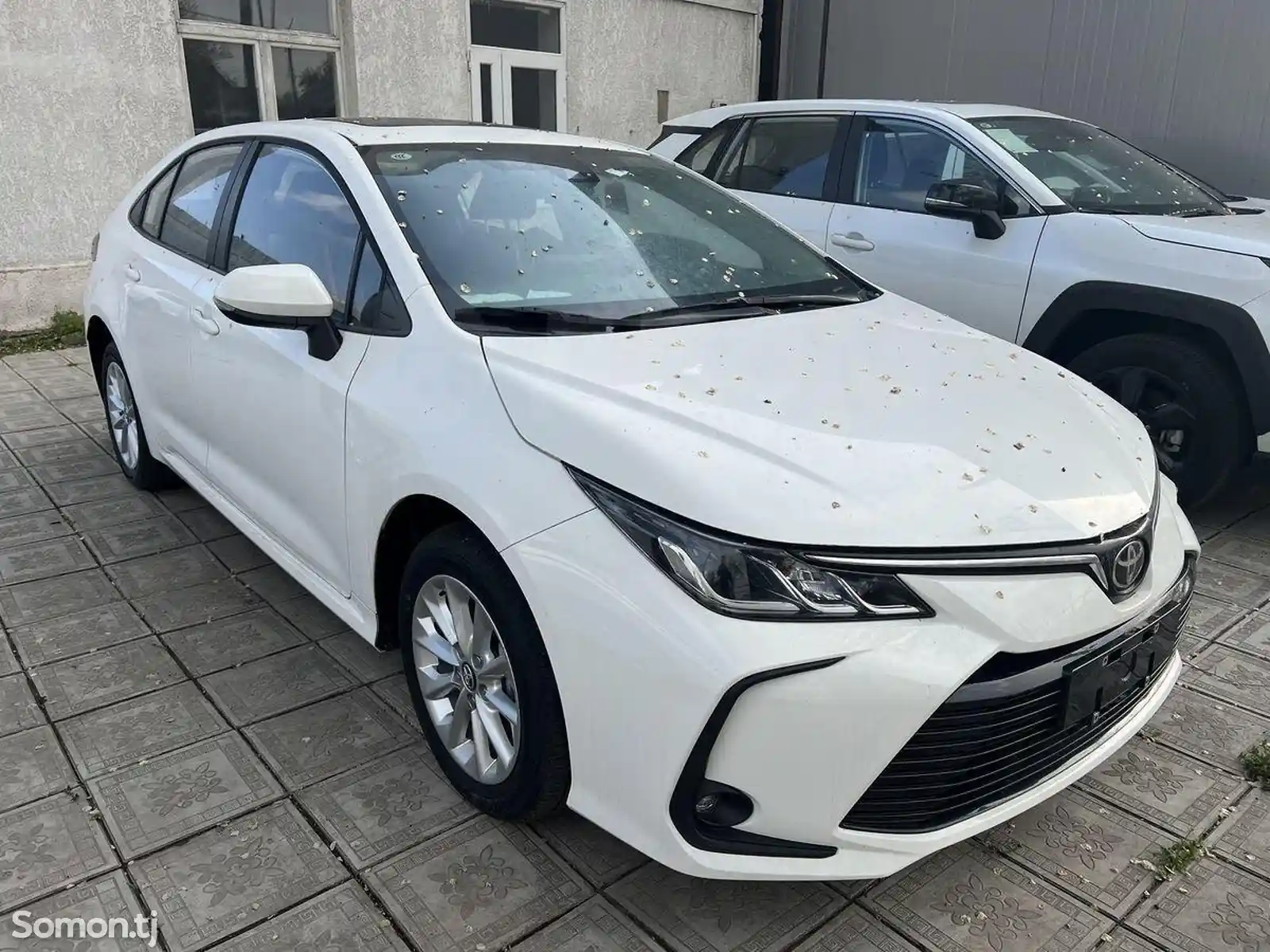 Toyota Corolla, 2023-3