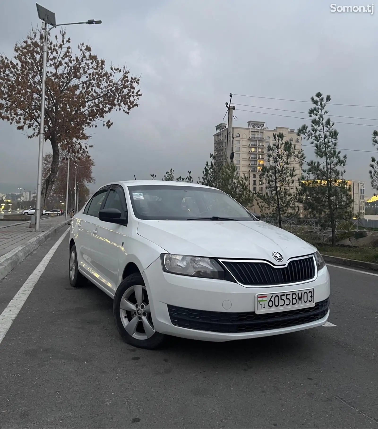 Skoda Rapid, 2014-1