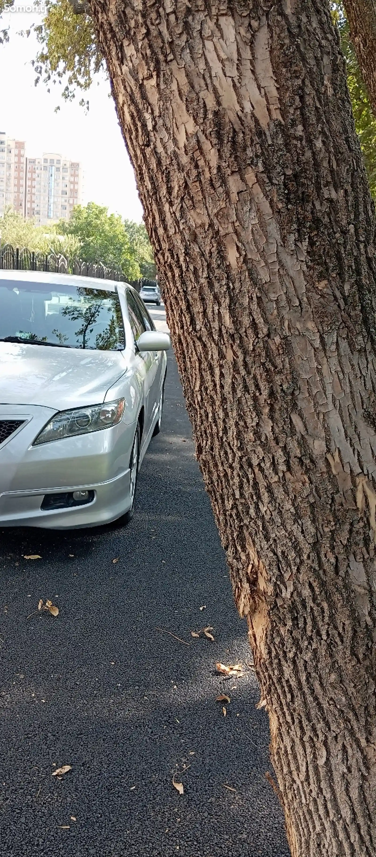 Toyota Camry, 2010-4