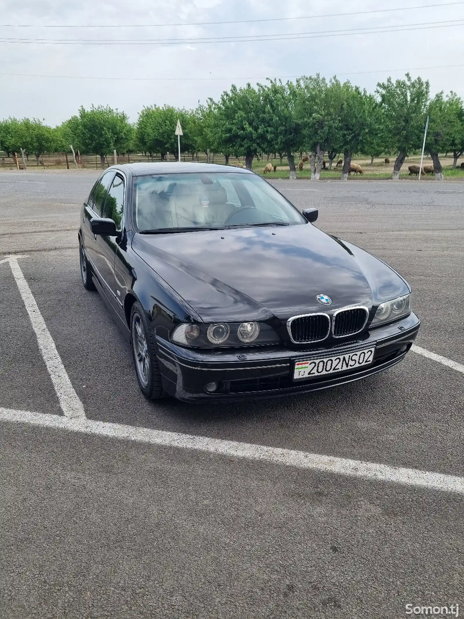 BMW 5 series, 2002-5