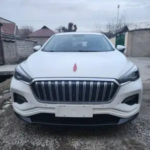 Hongqi HS3, 2020