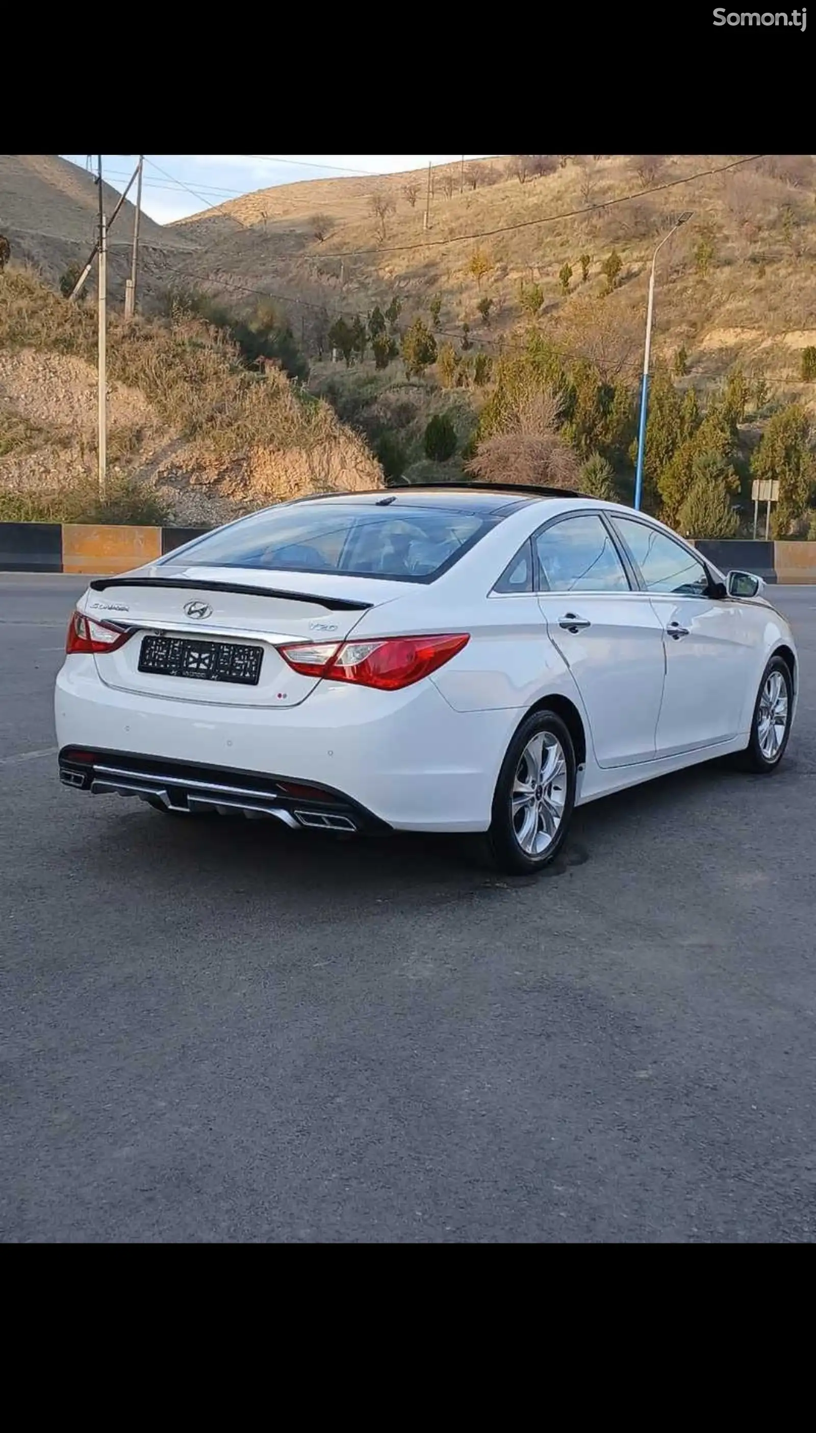 Hyundai Sonata, 2010-1