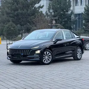 Hongqi E-QM5, 2024