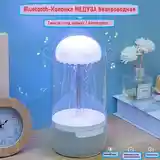 Колонка медуза-2