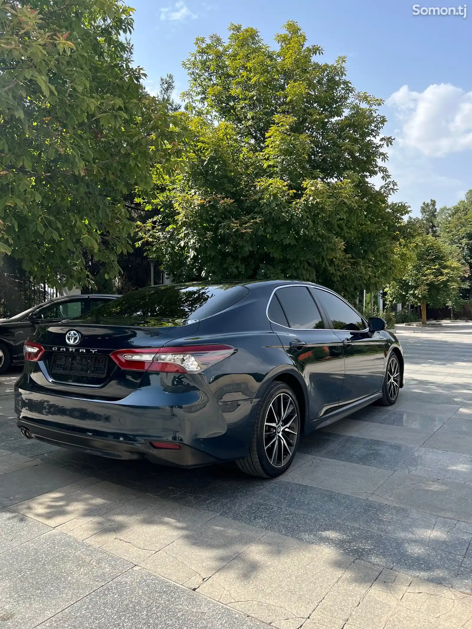 Toyota Camry, 2019-3