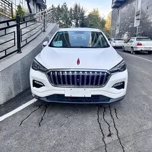 Hongqi HS3, 2019