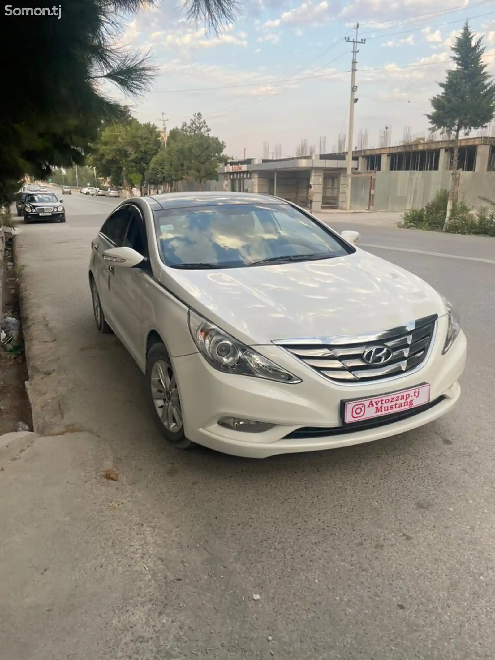 Hyundai Sonata, 2010-1