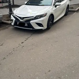 Toyota Camry, 2019