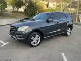 Mercedes-Benz ML class, 2012-2