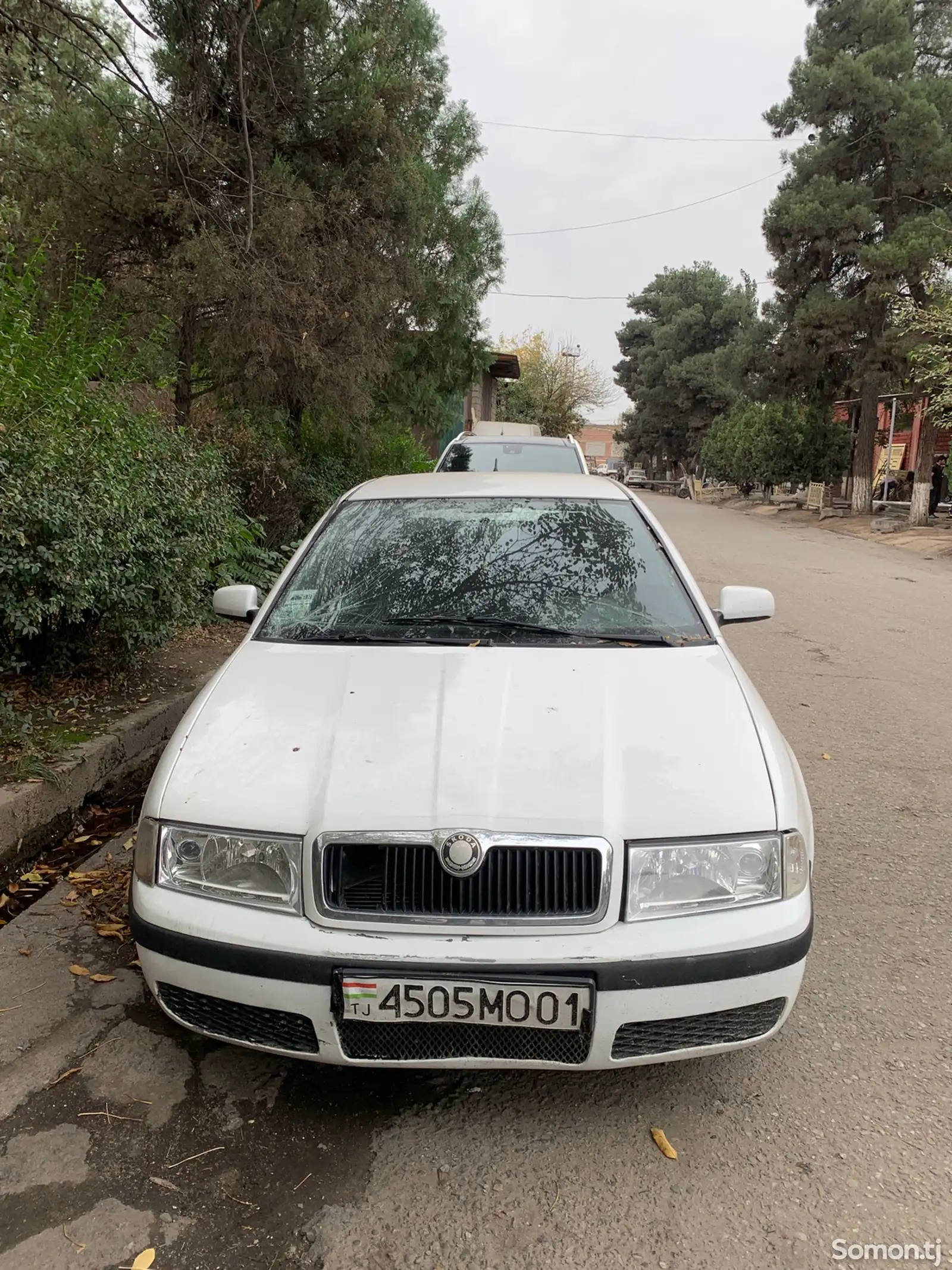 Skoda Octavia, 2008-1