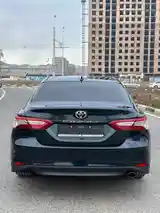 Toyota Camry, 2019-4