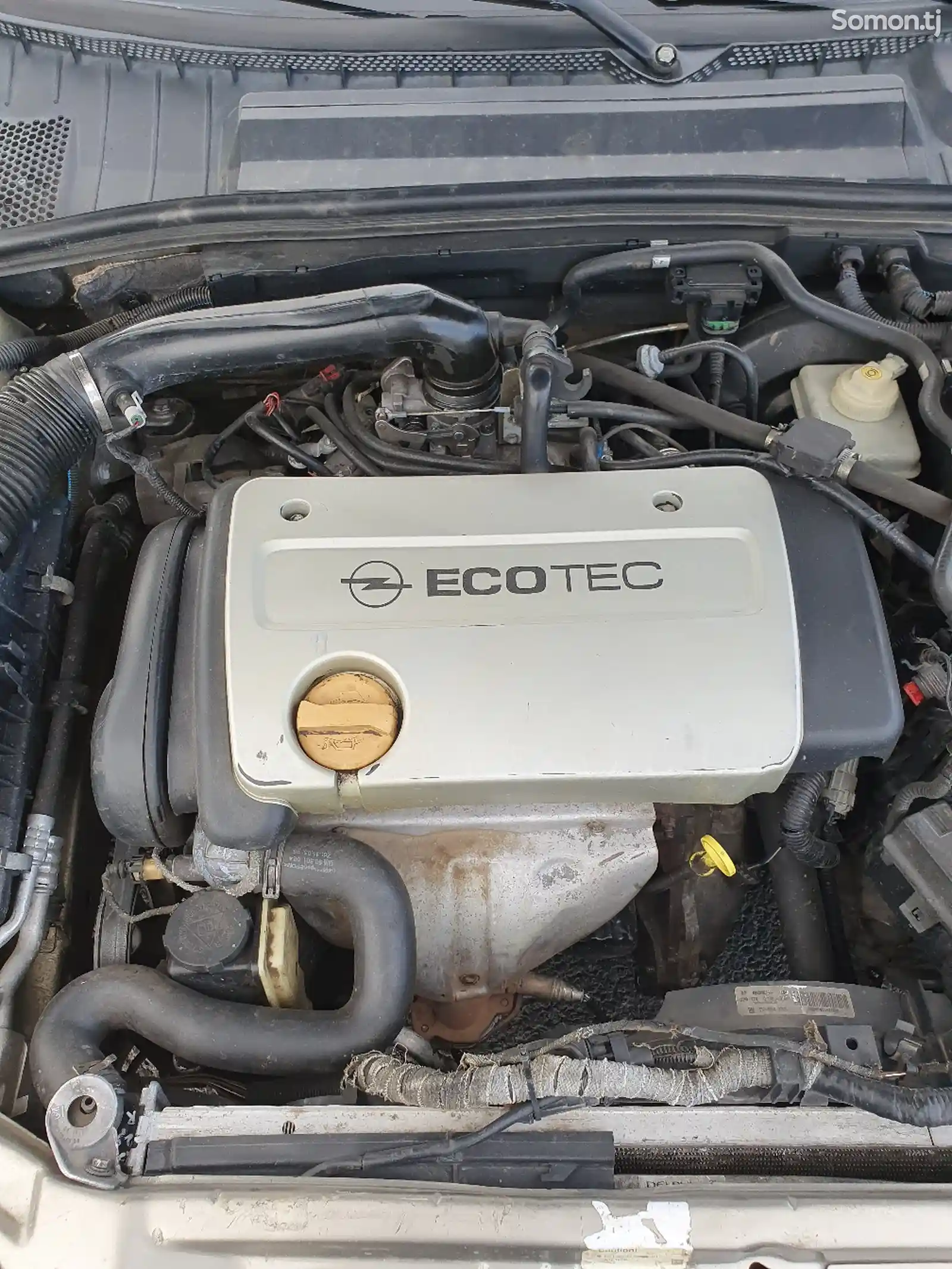 Opel Vectra B, 1999-11