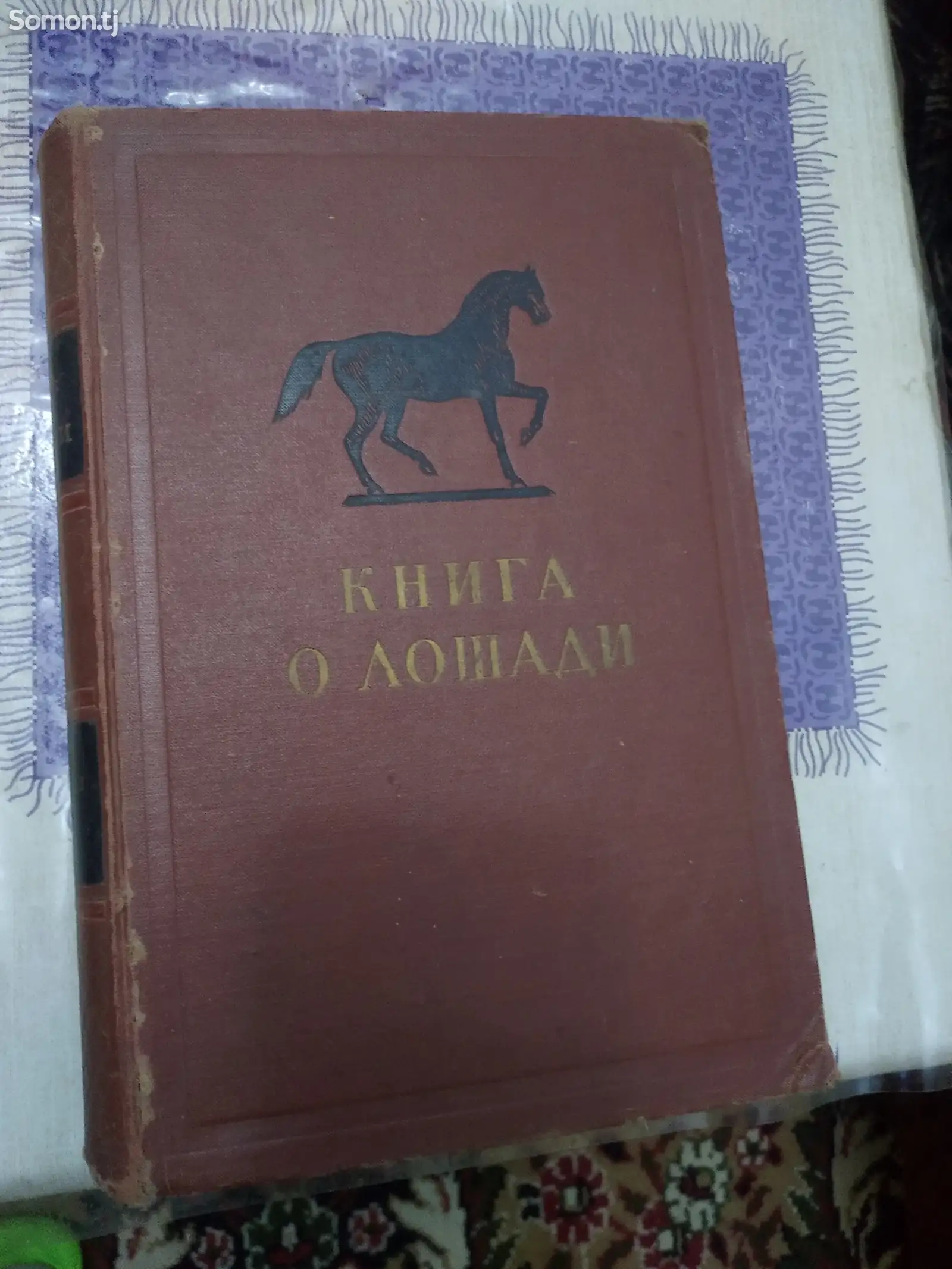 Книга о лошади-1