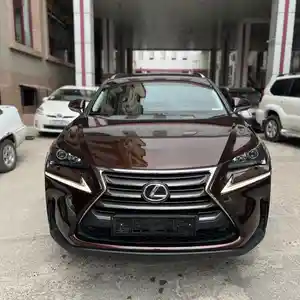 Lexus NX series, 2018