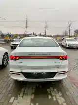 BYD Qin Plus, 2024-3