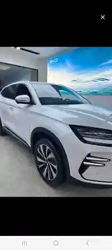 BYD Song Plus Flagship, 2024-12