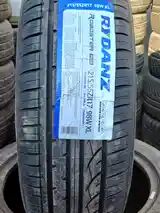 Шины Rydanz 215/55 R17-2