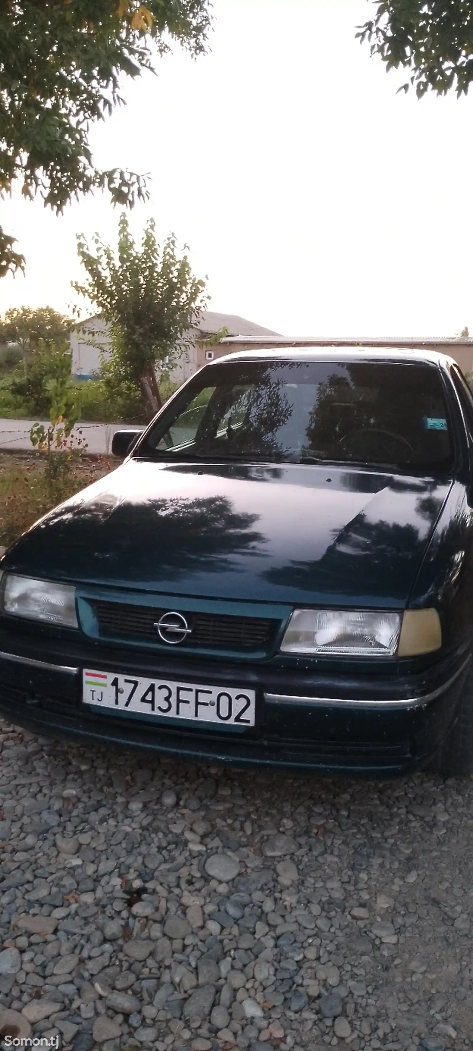 Opel Vectra A, 1995-1