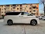 Toyota Alphard, 2017-5