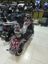 Скутер Harley-Davidson-6