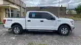 Ford F 150, 2017-11