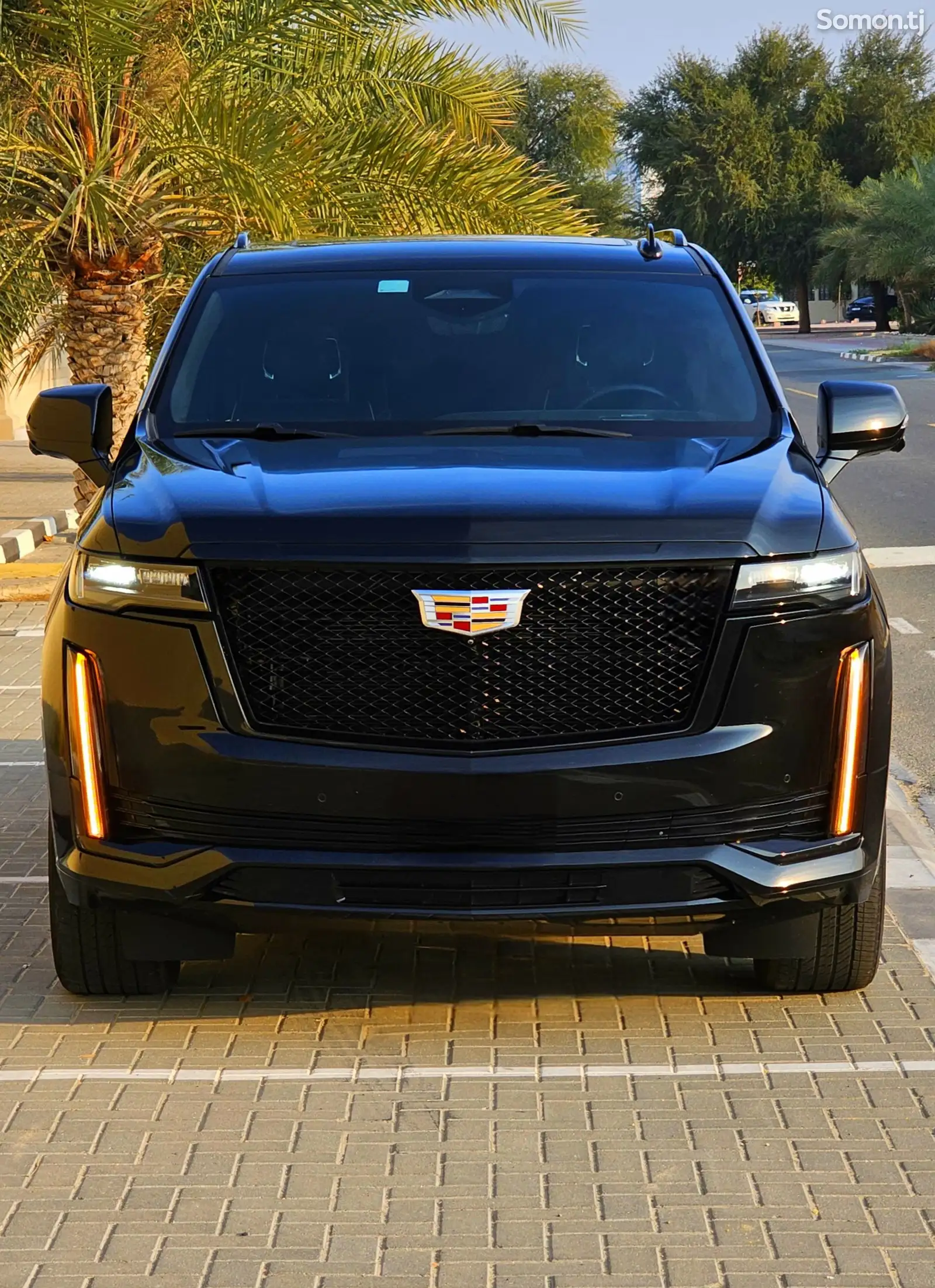 Легковые автомобили Cadillac, 2021-1