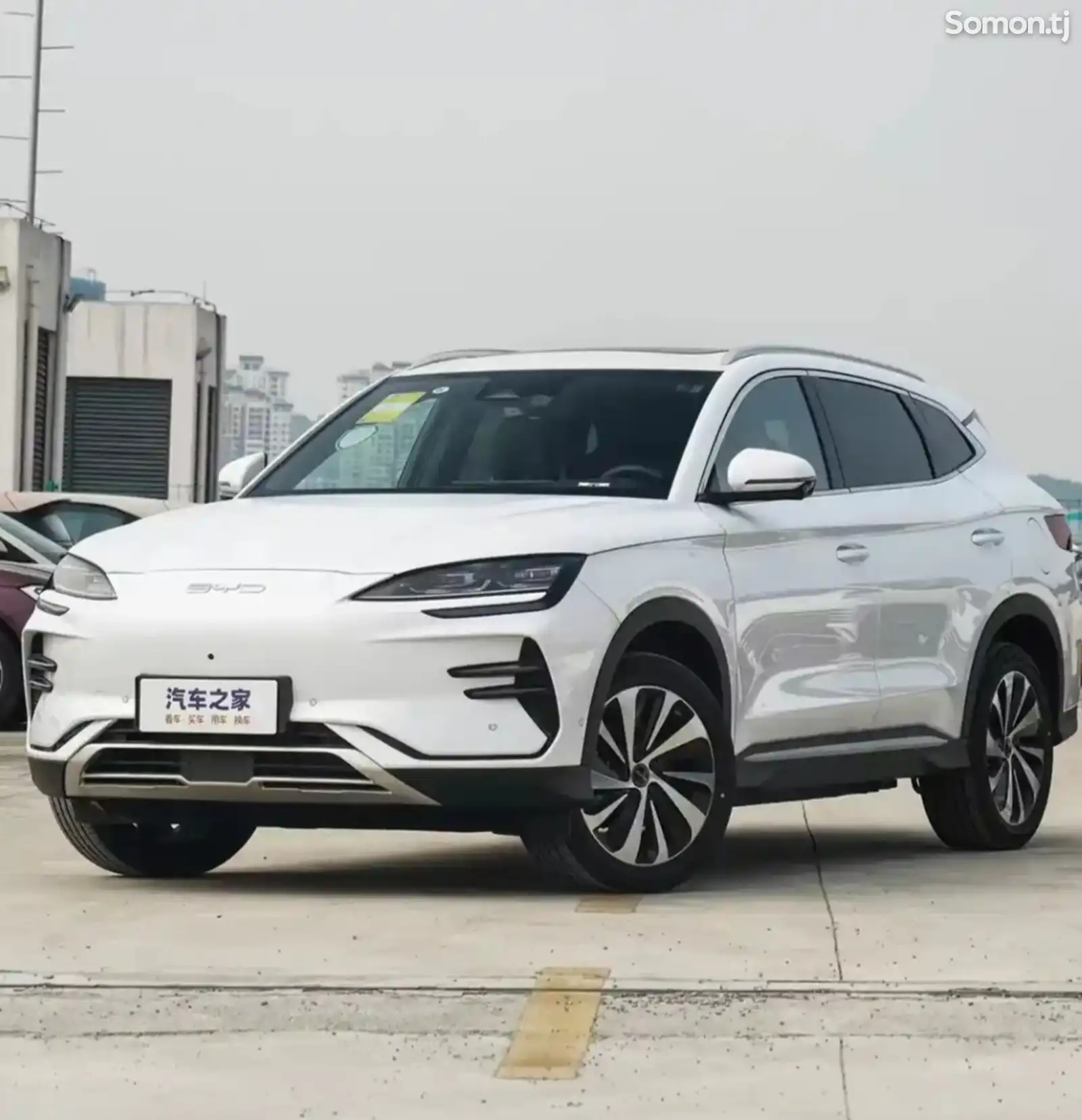 BYD Song, 2024-1