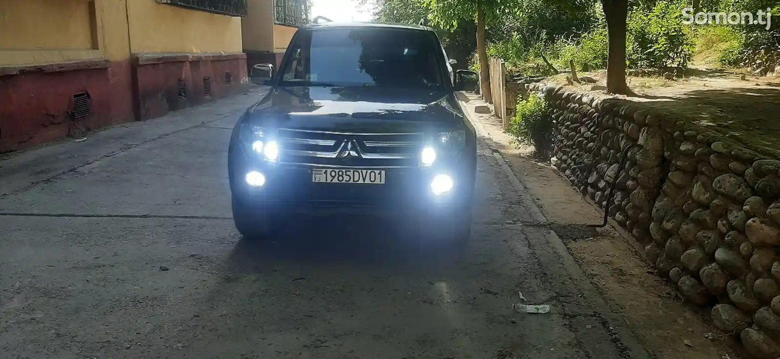 Mitsubishi Pajero, 2008-5