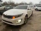 Kia K5, 2014-3