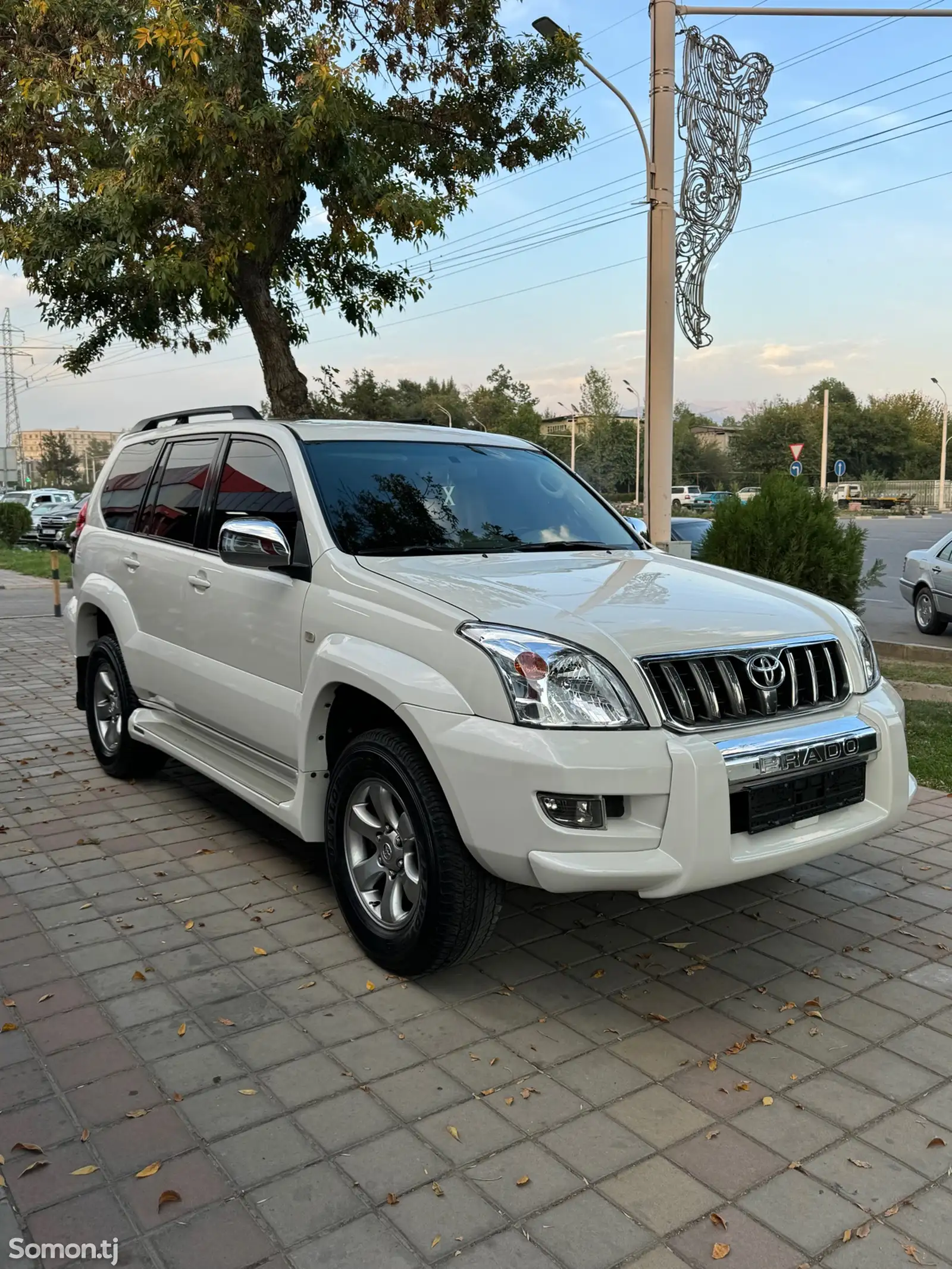 Toyota Land Cruiser Prado, 2008-4