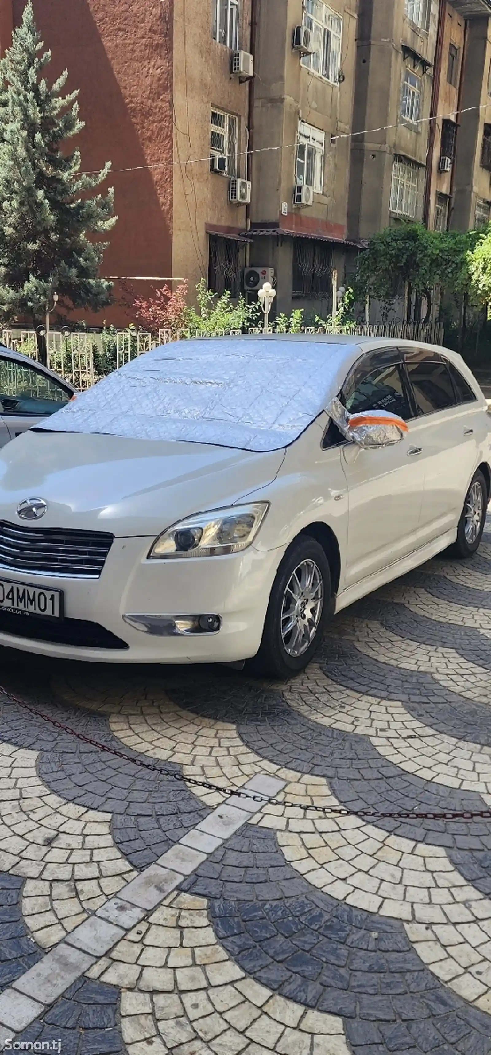 Toyota Mark X ZiO, 2008-1