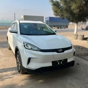 BYD E2, 2021